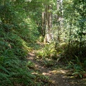 DSC03234