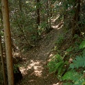 DSC03246