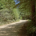 DSC03256