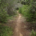 DSC03259