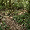 DSC03273
