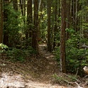 DSC03275