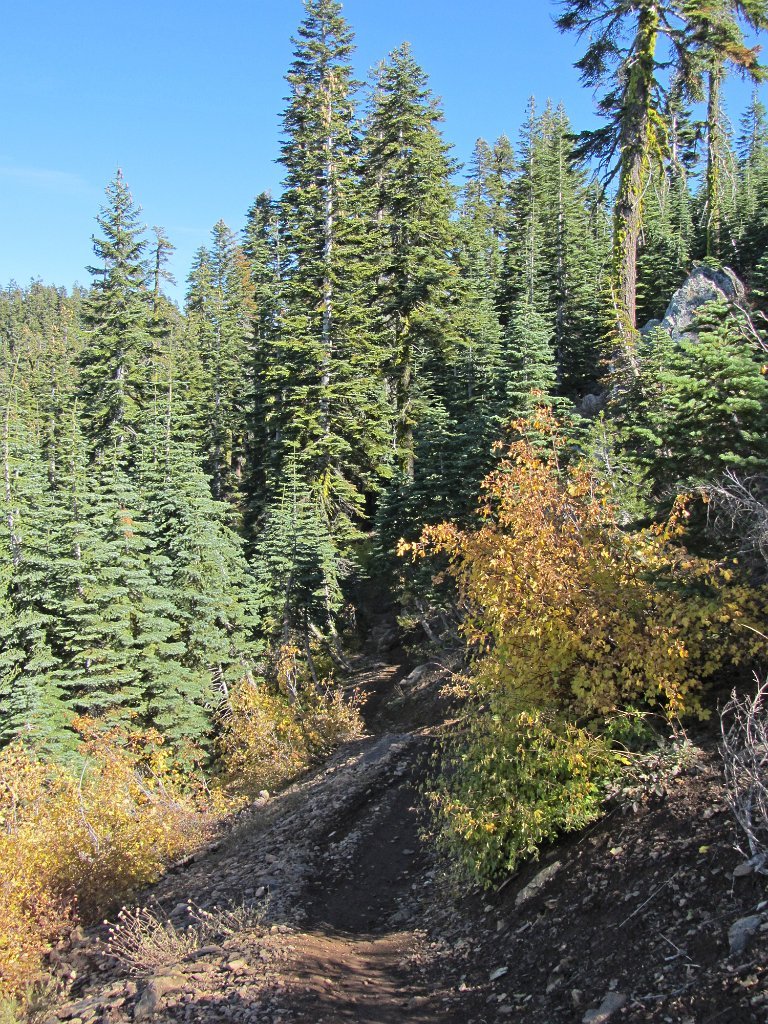 IMG_1955
