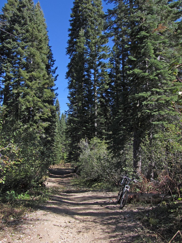 IMG_1968