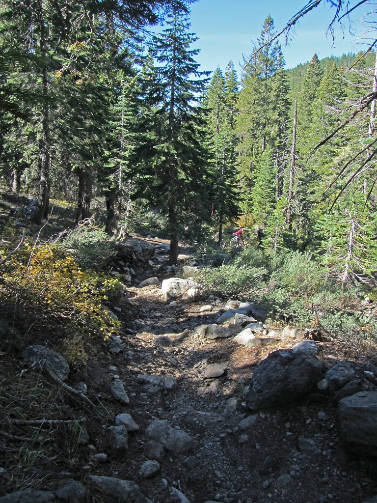 IMG_1979