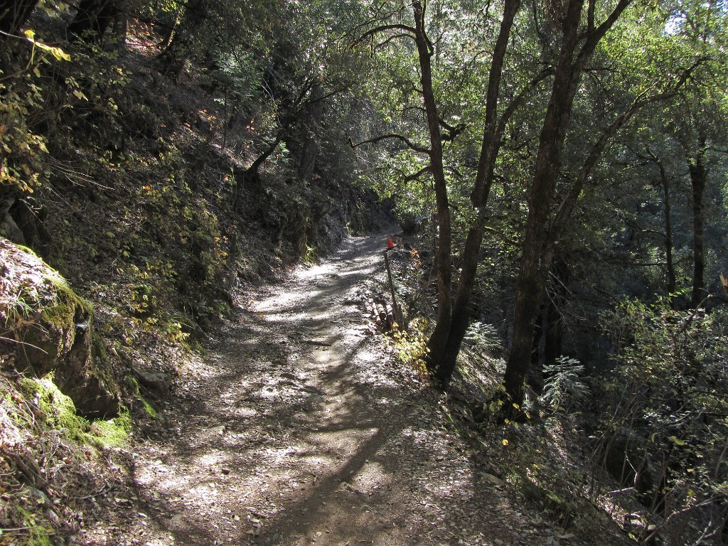 IMG_2036