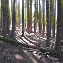 IMG_1959