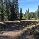 IMG_1967
