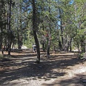 IMG_1970