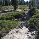 IMG_1973
