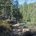 IMG_1979