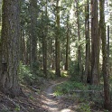 IMG_1988