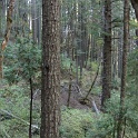IMG_2008