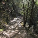 IMG_2036