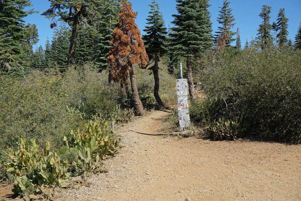 DSC04862