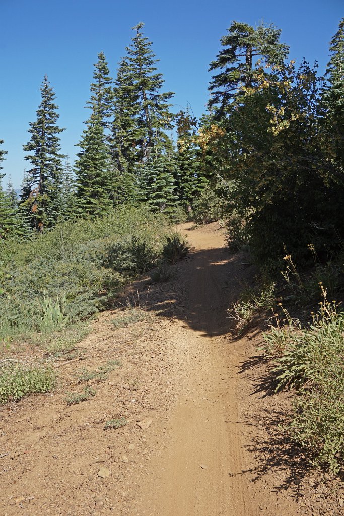 DSC04867