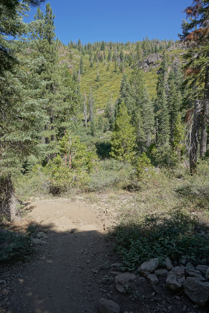 DSC04950