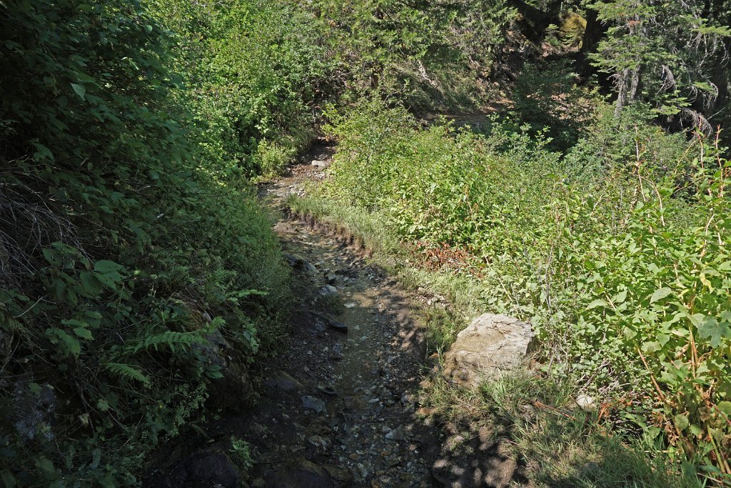 DSC04993