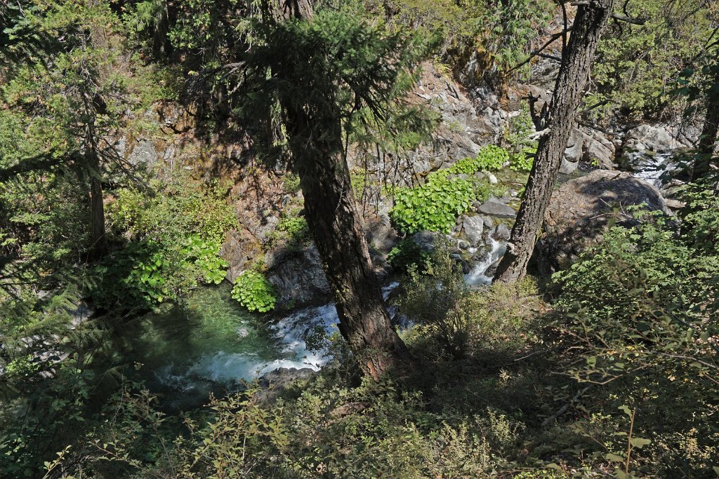 DSC04999