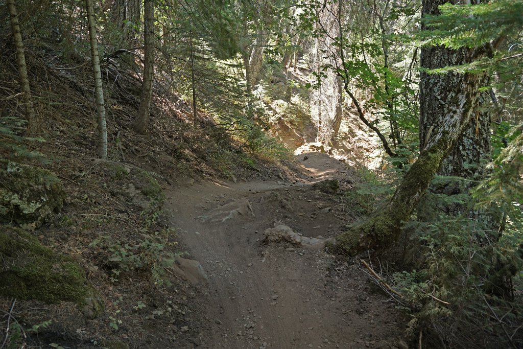 DSC05002