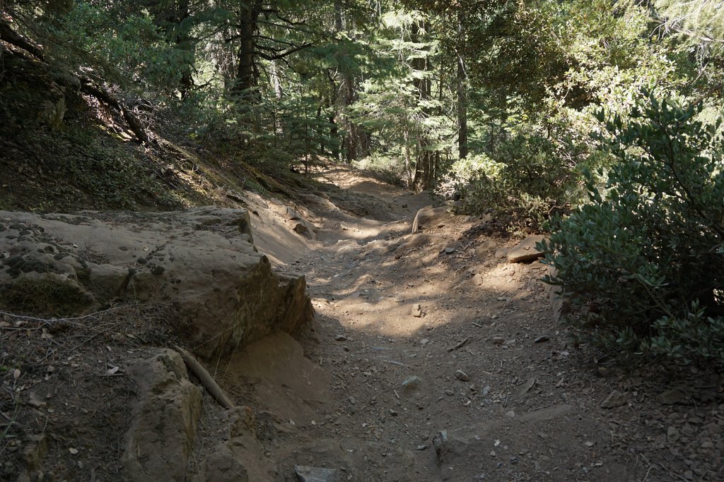 DSC05005