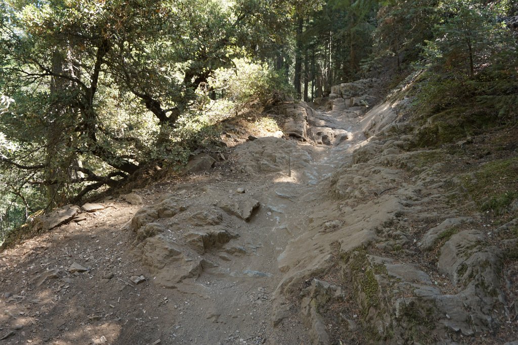 DSC05006