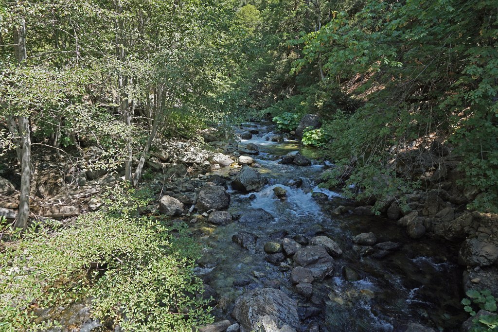 DSC05018