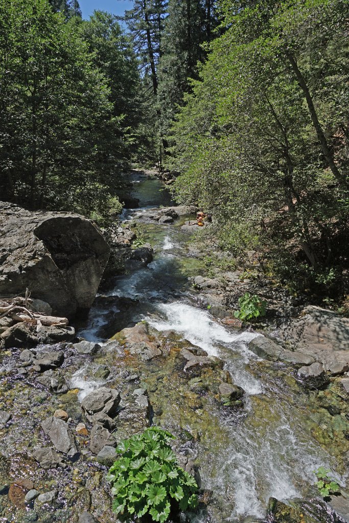 DSC05019