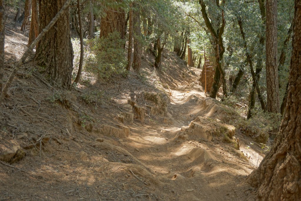 DSC05049