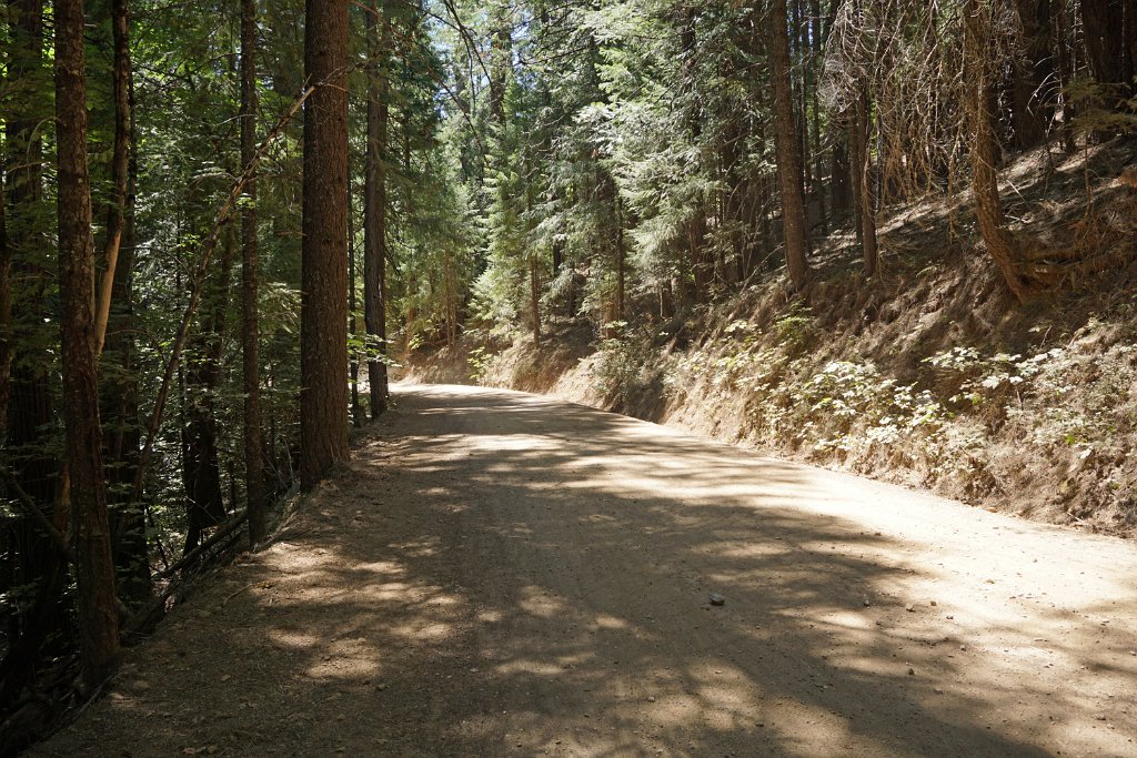DSC05070