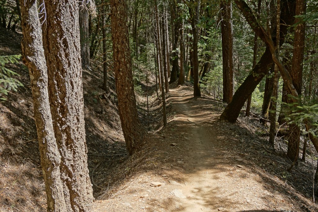 DSC05086