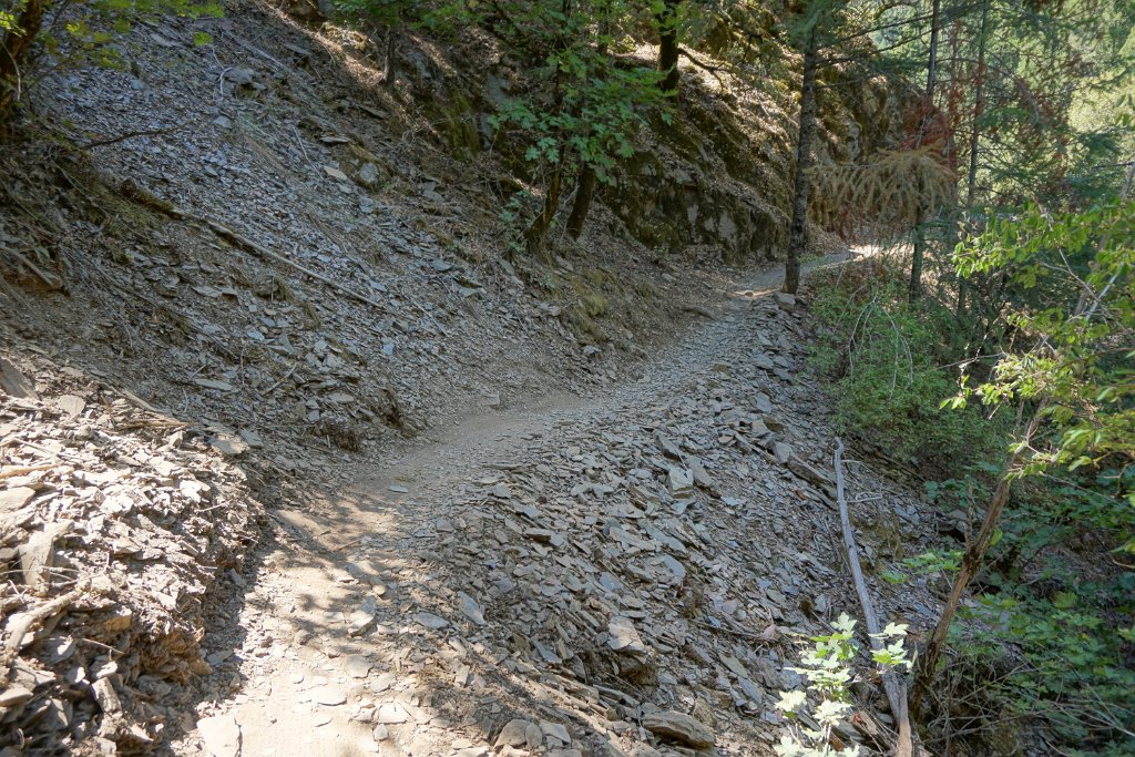 DSC05097