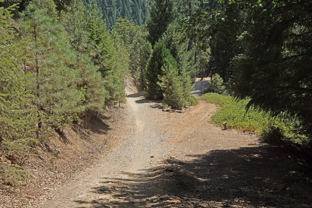 DSC05108