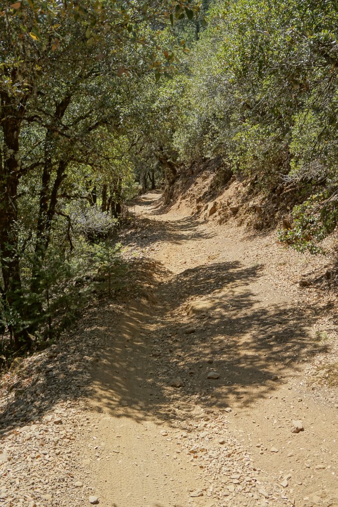 DSC05131