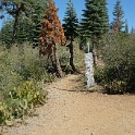 DSC04862