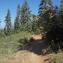 DSC04867