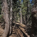 DSC04880