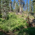 DSC04904