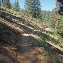 DSC04907