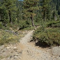 DSC04918