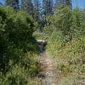 DSC04939