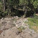 DSC04963