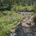 DSC04965