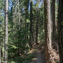 DSC04969