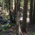 DSC04970