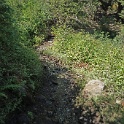 DSC04993