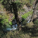 DSC04999