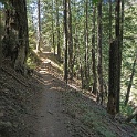 DSC05000