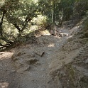 DSC05006