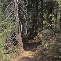 DSC05011